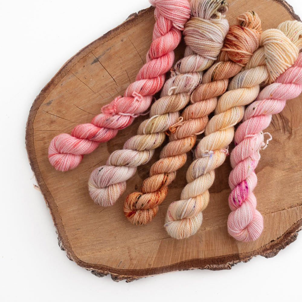 Classic Sock | Mini Set #10