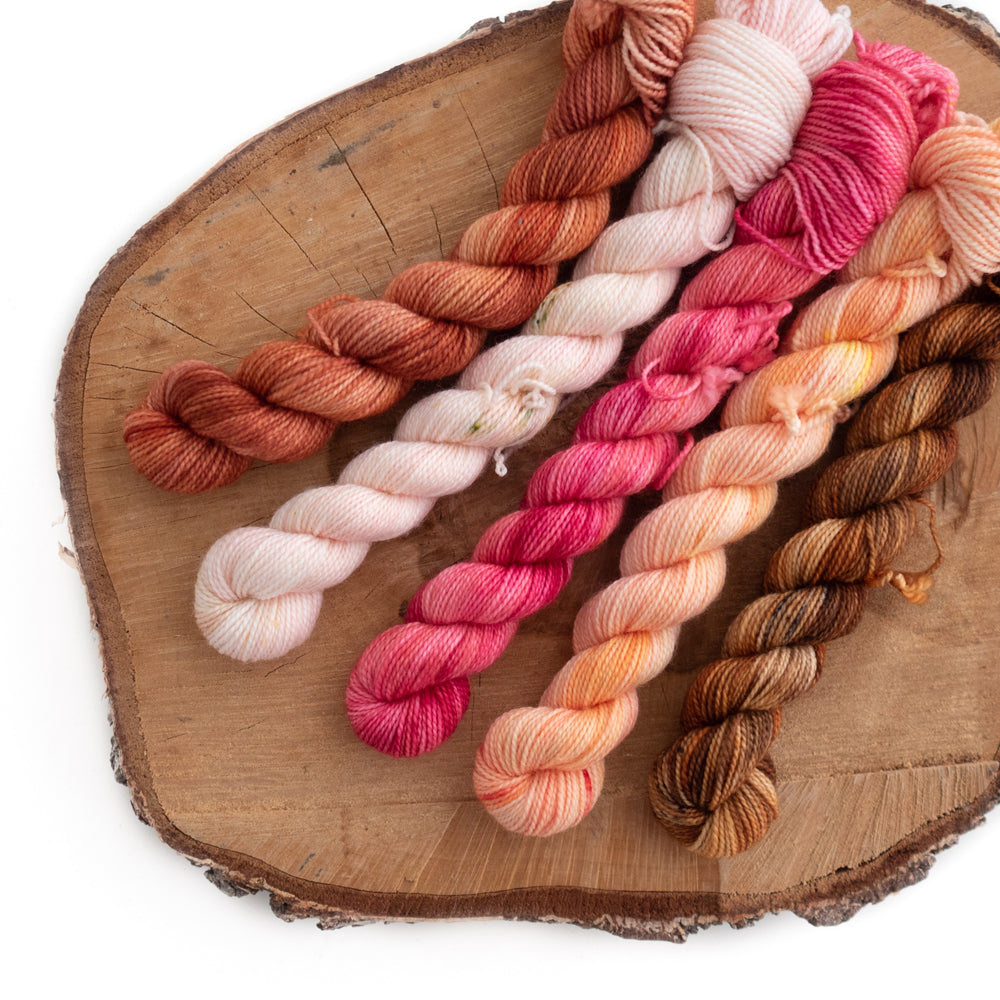 Classic Sock | Mini Set #6