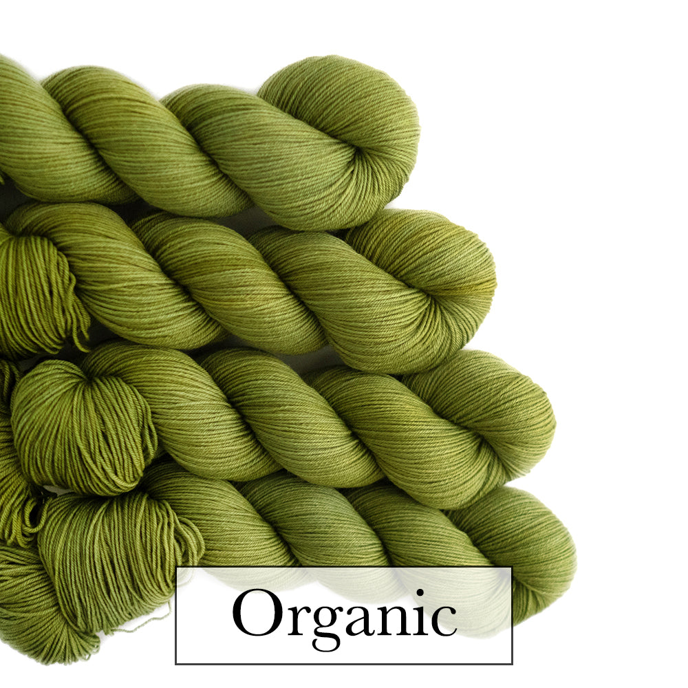 Palm | Dyed To Order