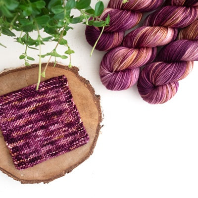 Berry Cobbler | Merino Worsted