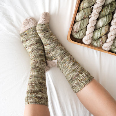 Elderflower | Sock Set DK