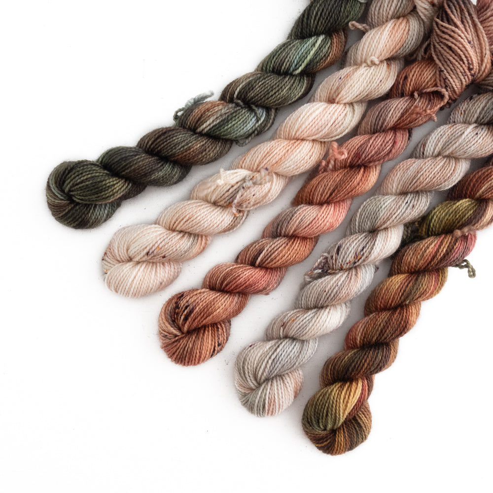 Endless Autumn Variegated | Mini Set – oliviaandoliverfibers